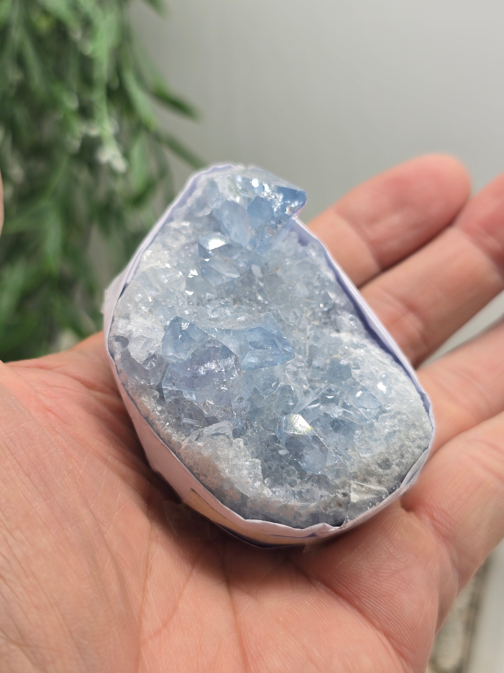 Natural Celestite Cluster – Madagascar | Angelic Communication, Peace & Spiritual Connection Crystal Wellness