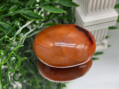 Premium Madagascar Carnelian Palmstone — Stone of Vitality, Courage & Motivation Crystal Wellness