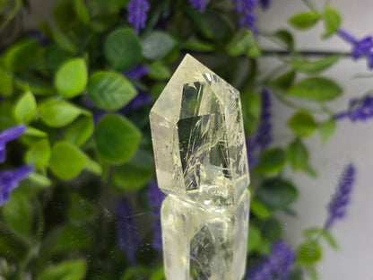 Genuine Natural Citrine Point – Stone of Abundance, Joy & Success Crystal Wellness