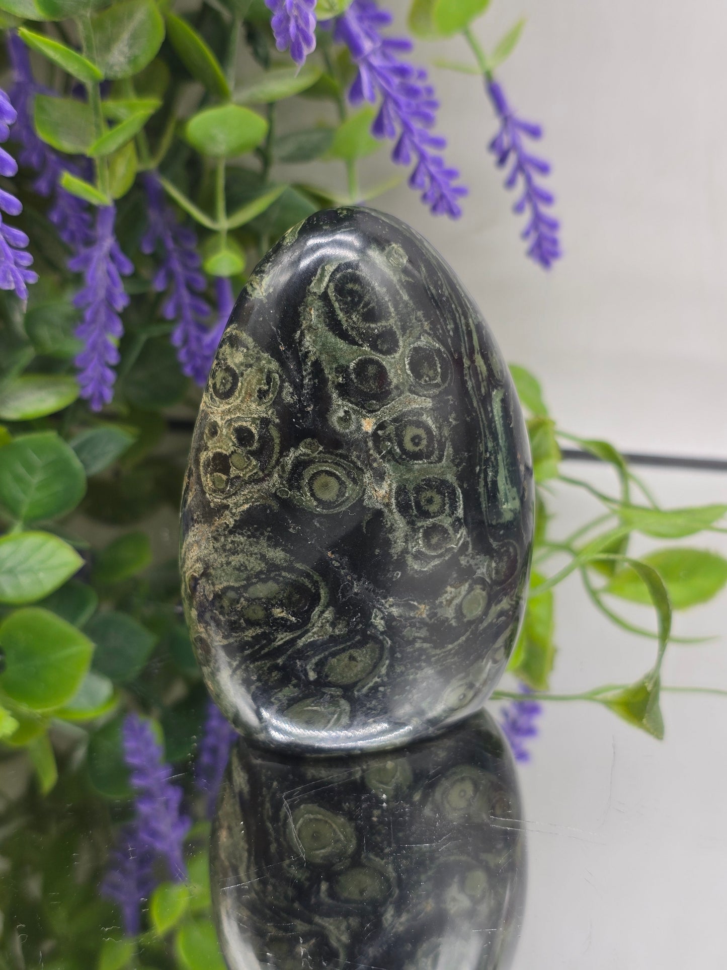 Premium Kambaba Jasper Freeform – Stone of Peace, Tranquility & Ancient Wisdom Crystal Wellness