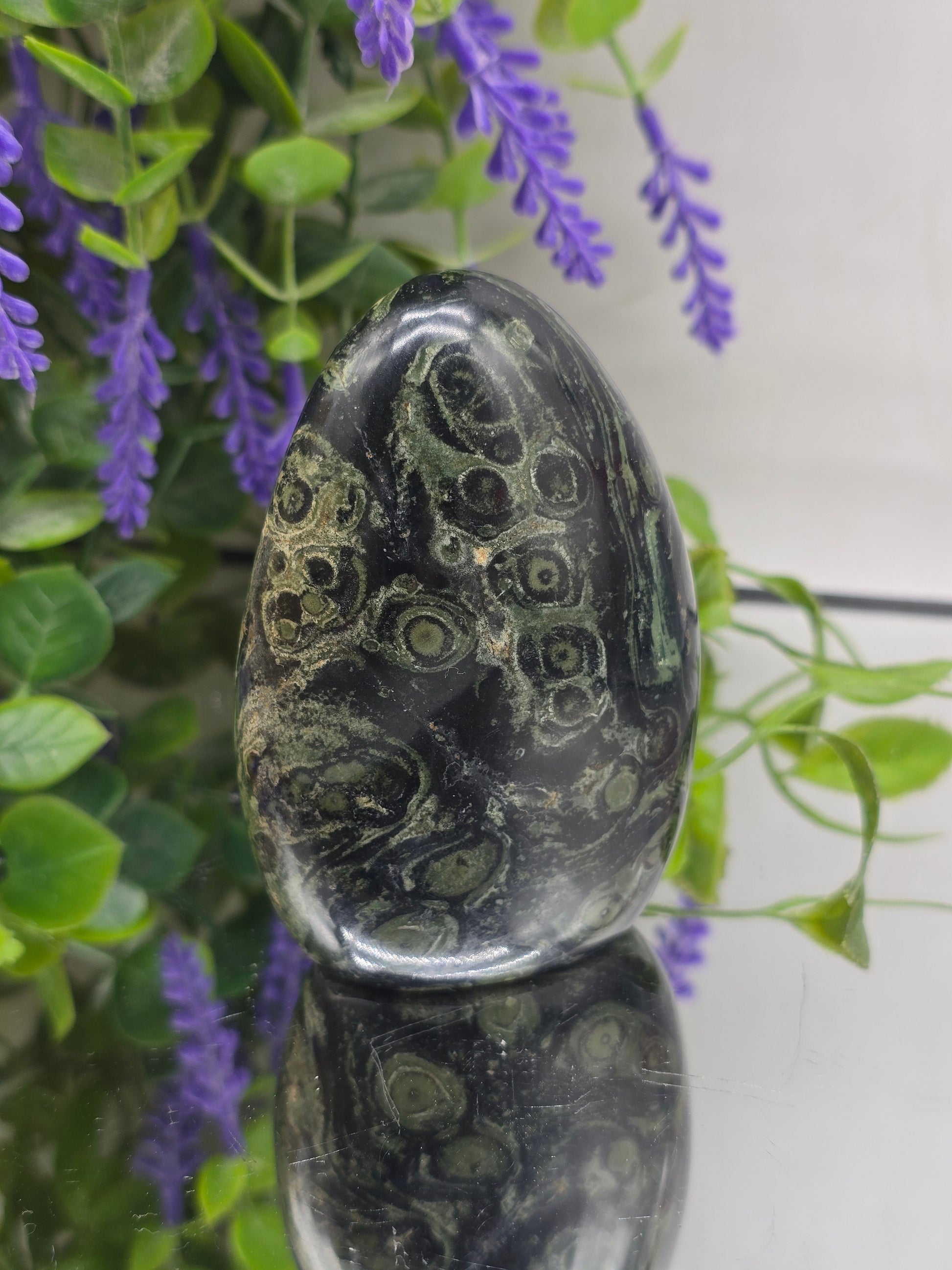 Premium Kambaba Jasper Freeform – Stone of Peace, Tranquility & Ancient Wisdom Crystal Wellness