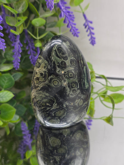 Premium Kambaba Jasper Freeform – Stone of Peace, Tranquility & Ancient Wisdom Crystal Wellness