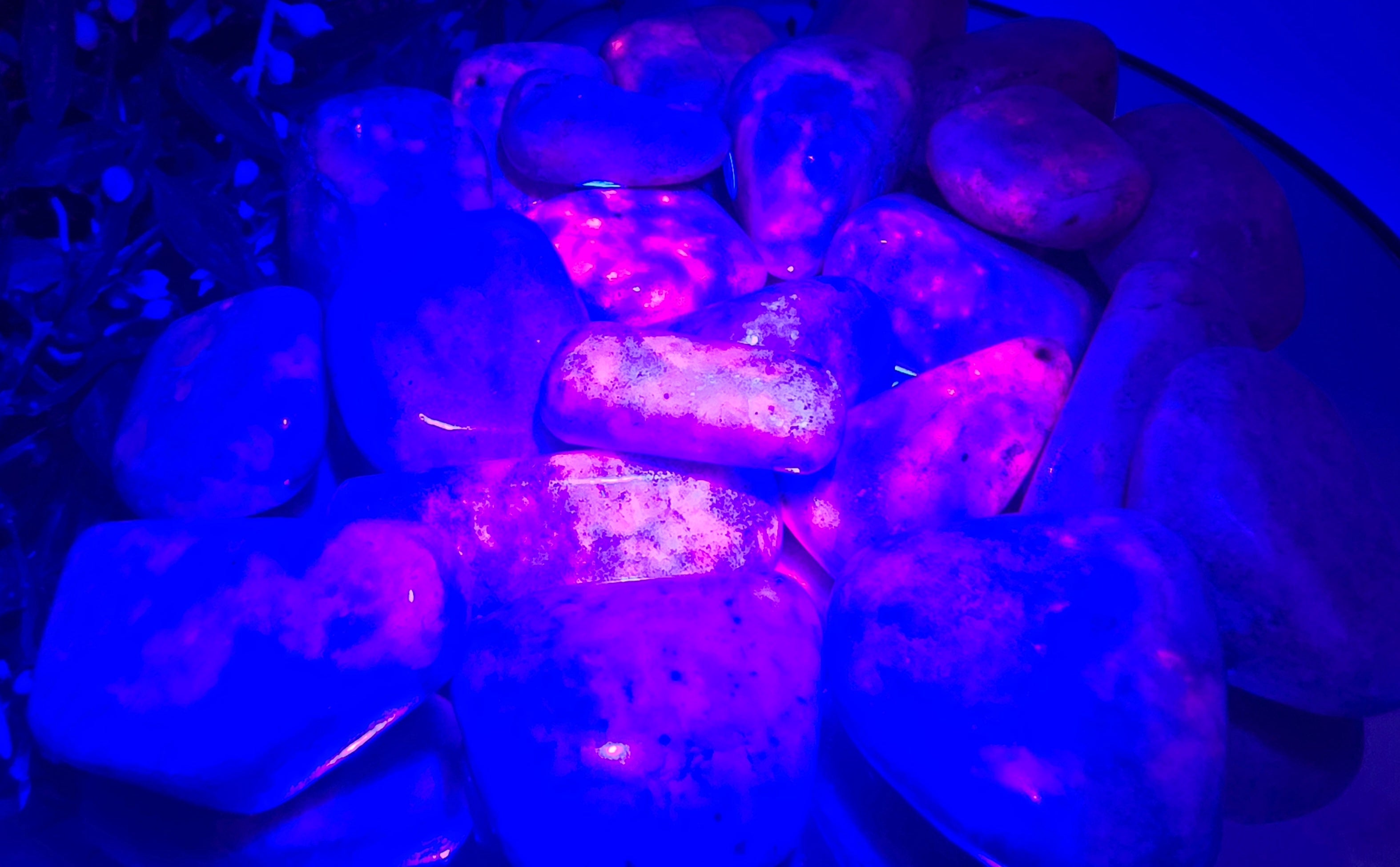 Untitled 29Oct_18:20 Crystal Wellness