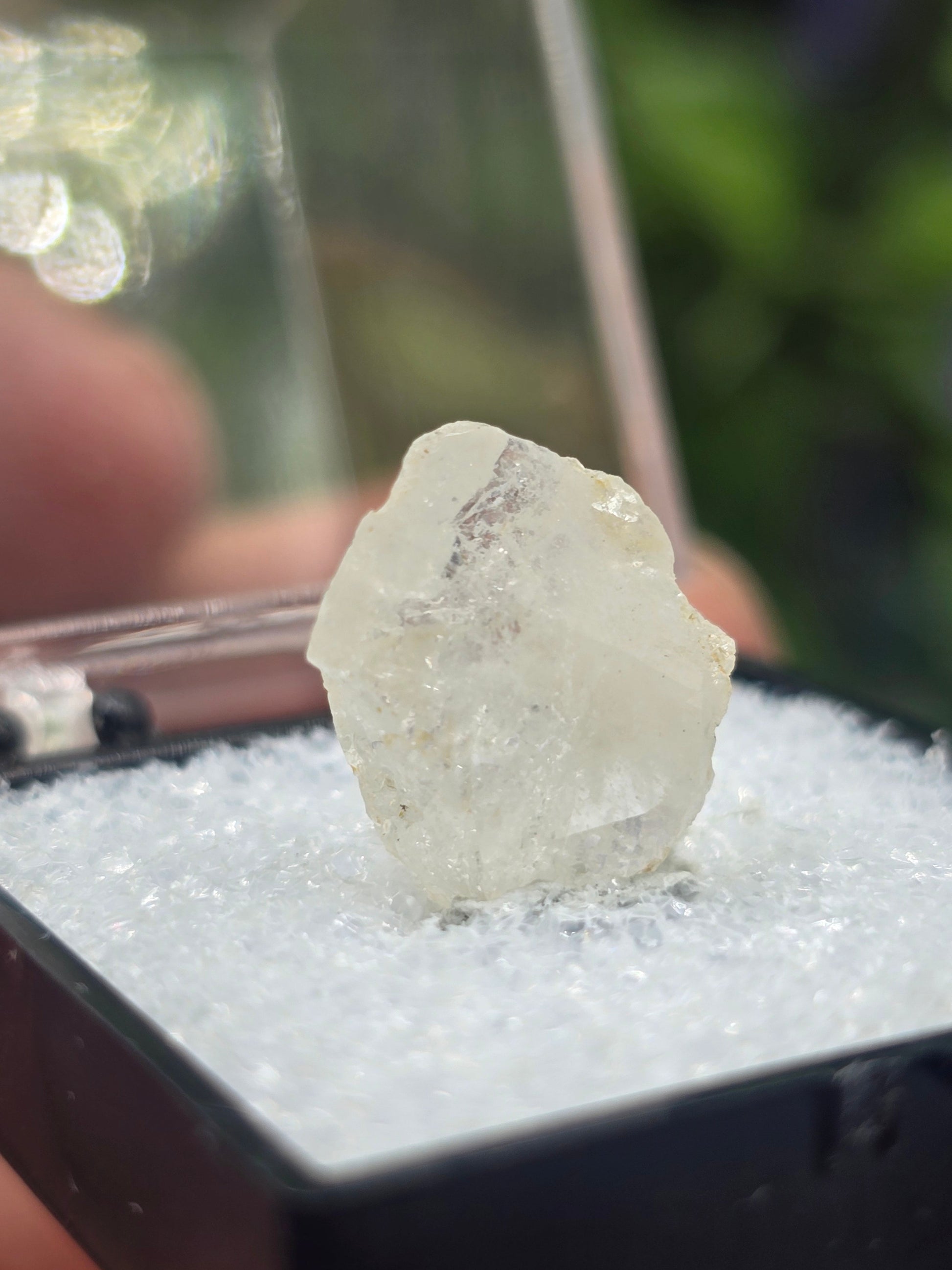 Rare Ural Mountain Phenacite Crystal – 10 Carats | 17 × 12 × 8mm | Stone of Pure Light, Spiritual Awakening & Divine Connection Crystal Wellness