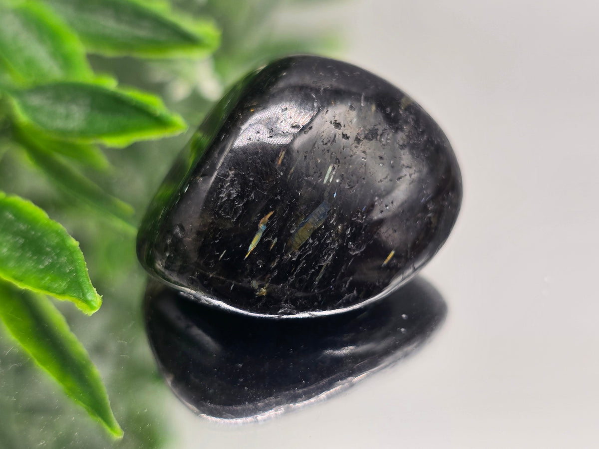 Genuine Nuumite Tumbled Stone (Stone of Ancient Protection & Personal Power) Crystal Wellness