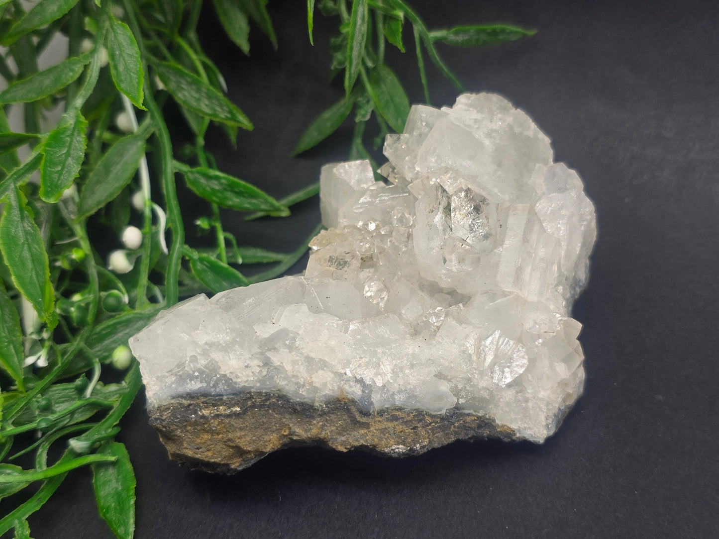 Apophyllite #3 Crystal Wellness