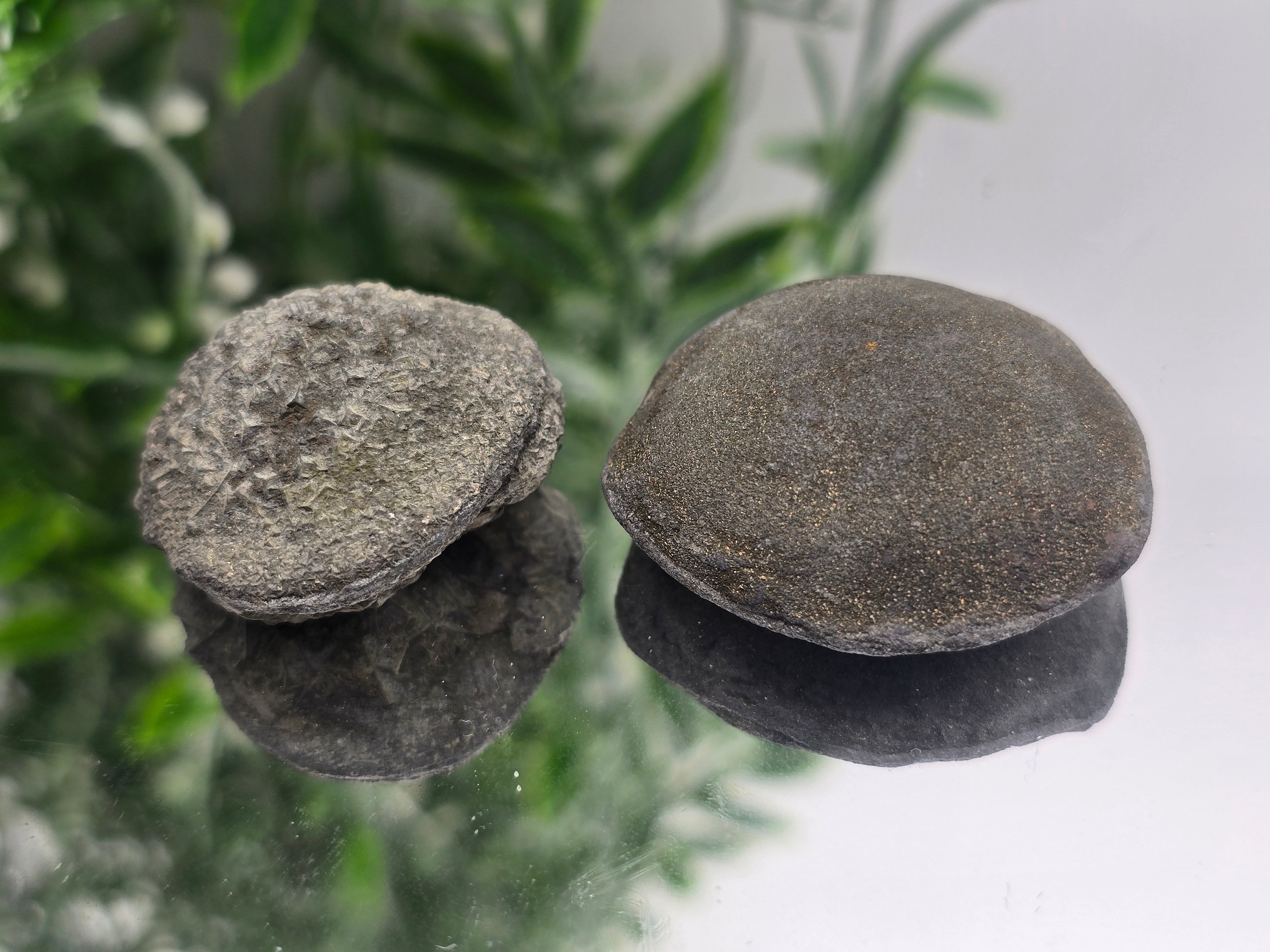 Boji Stones XLarge 65x36x17mm – Twin Energy Balance & Ancient Earth Grounding Power Crystal Wellness