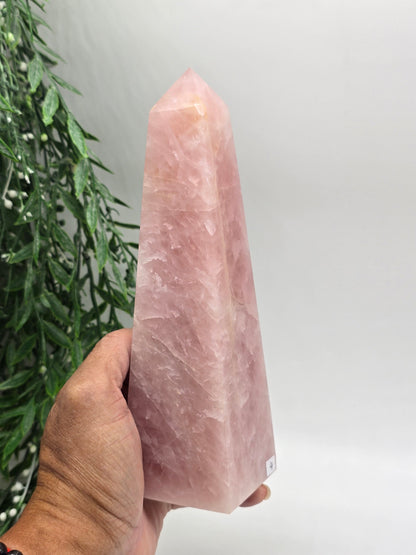 Rose Quartz Obelisk High Grade – Radiant Love & Heart Healing (210mm x 60mm) Crystal Wellness