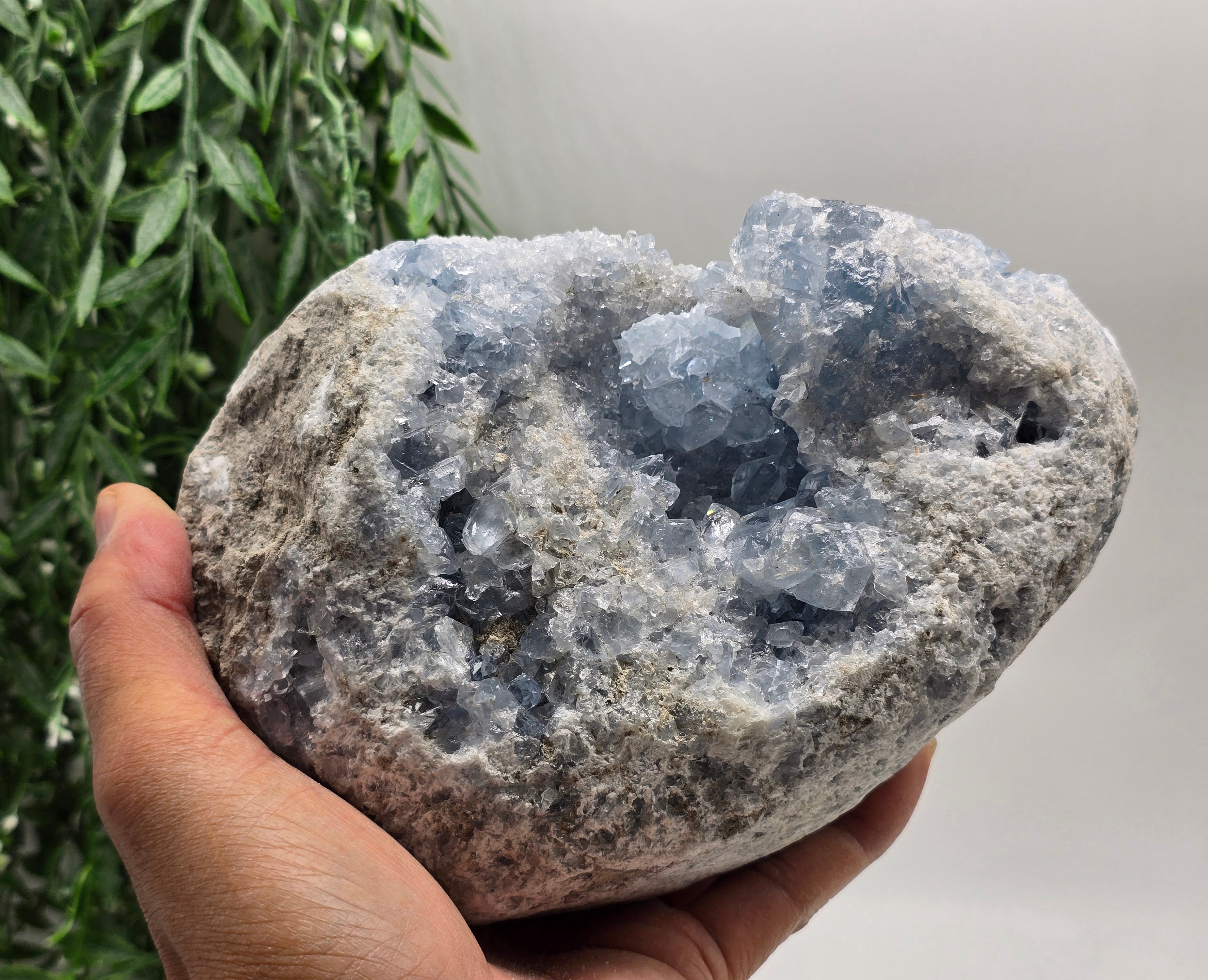 Celestial Calm Celestite Geode – 3kg Madagascar Crystal Wellness