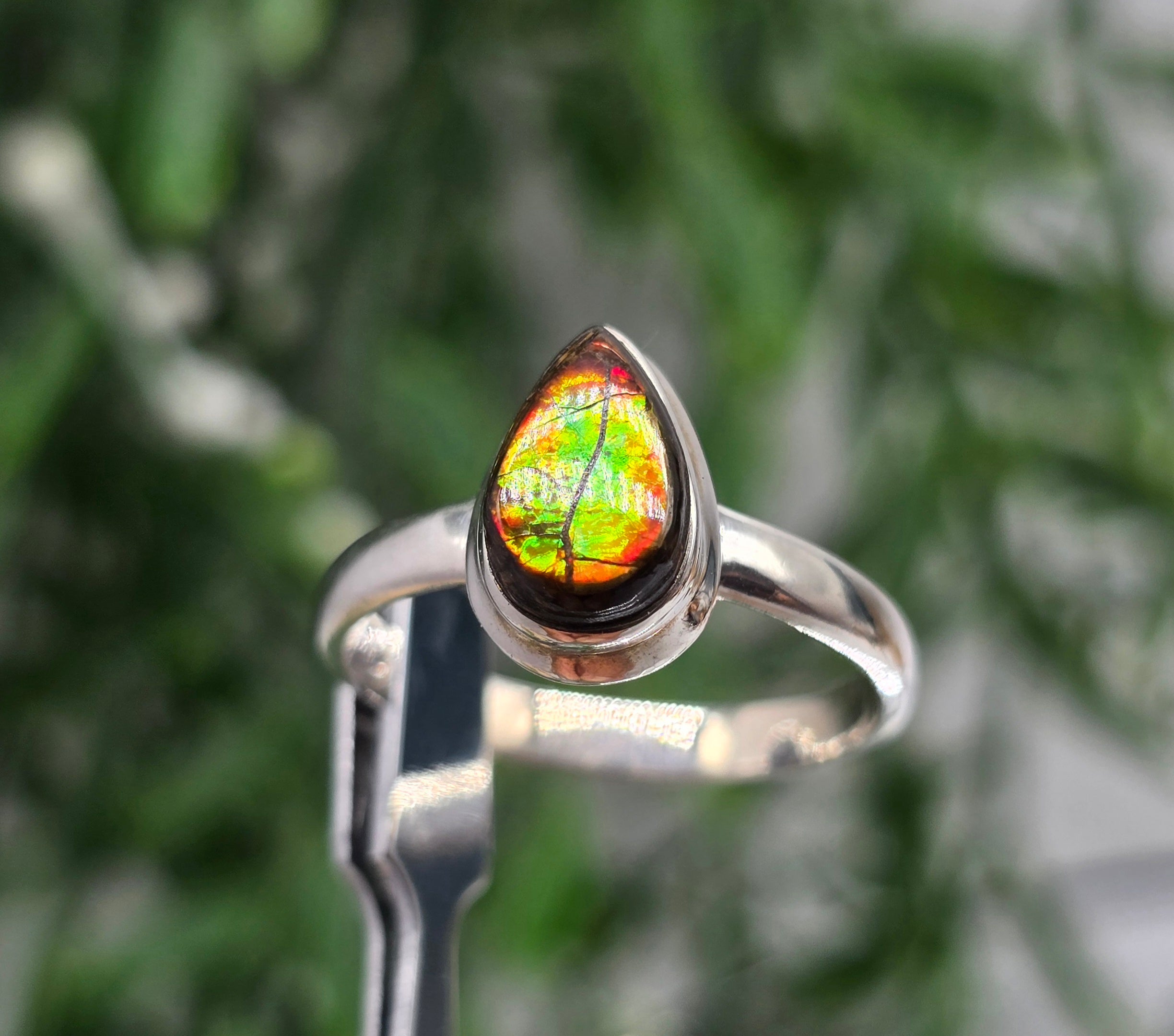 🌈 Canadian Ammolite 925 Sterling Silver Ring – Size 10 | Stone of Transformation, Prosperity & Ancient Earth Energy Crystal Wellness