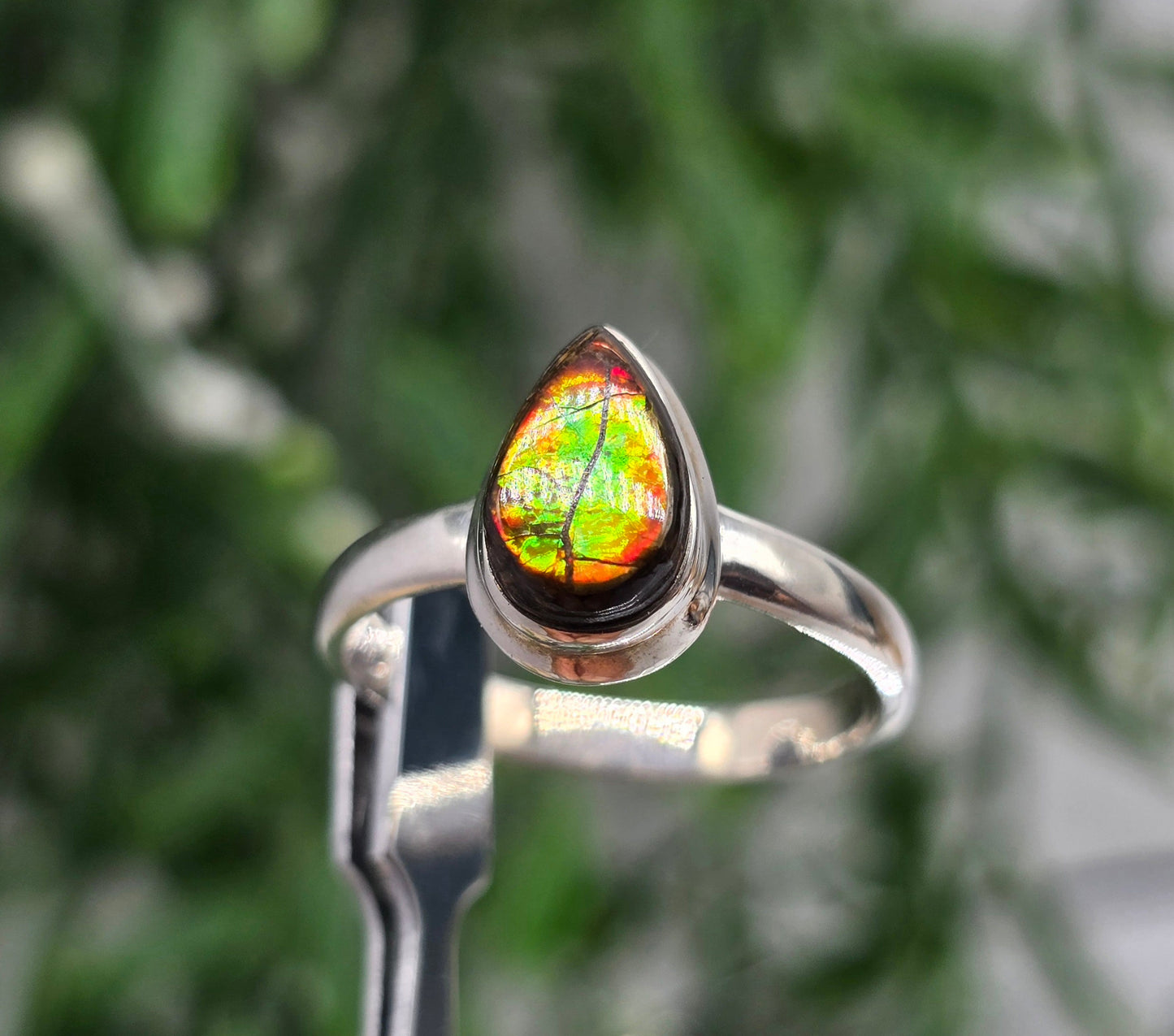 🌈 Canadian Ammolite 925 Sterling Silver Ring – Size 10 | Stone of Transformation, Prosperity & Ancient Earth Energy Crystal Wellness