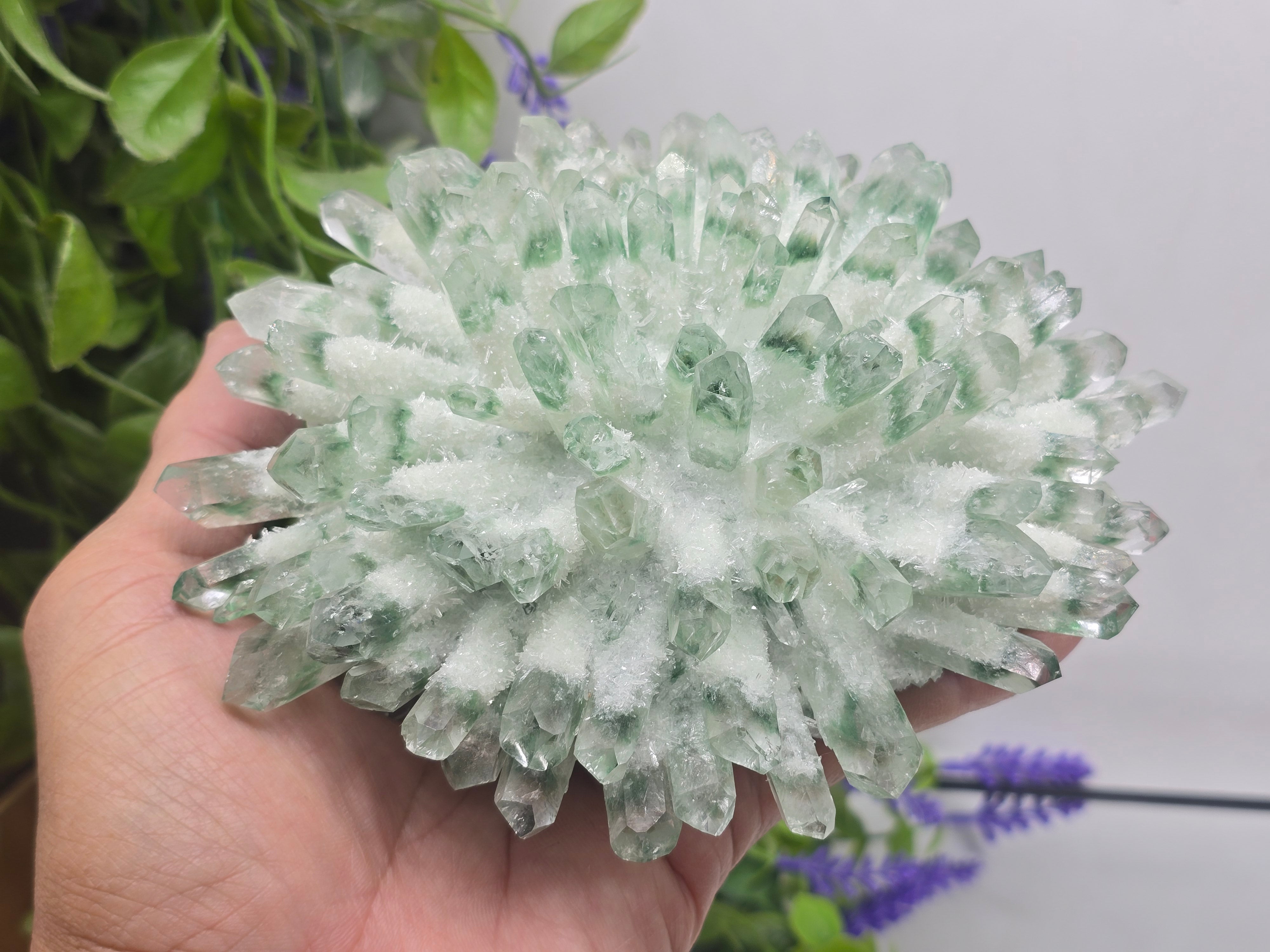Green Chromium Quartz Cluster – Self-Healing, Heart Renewal & Regenerative Abundance 16x13x5cm Crystal Wellness