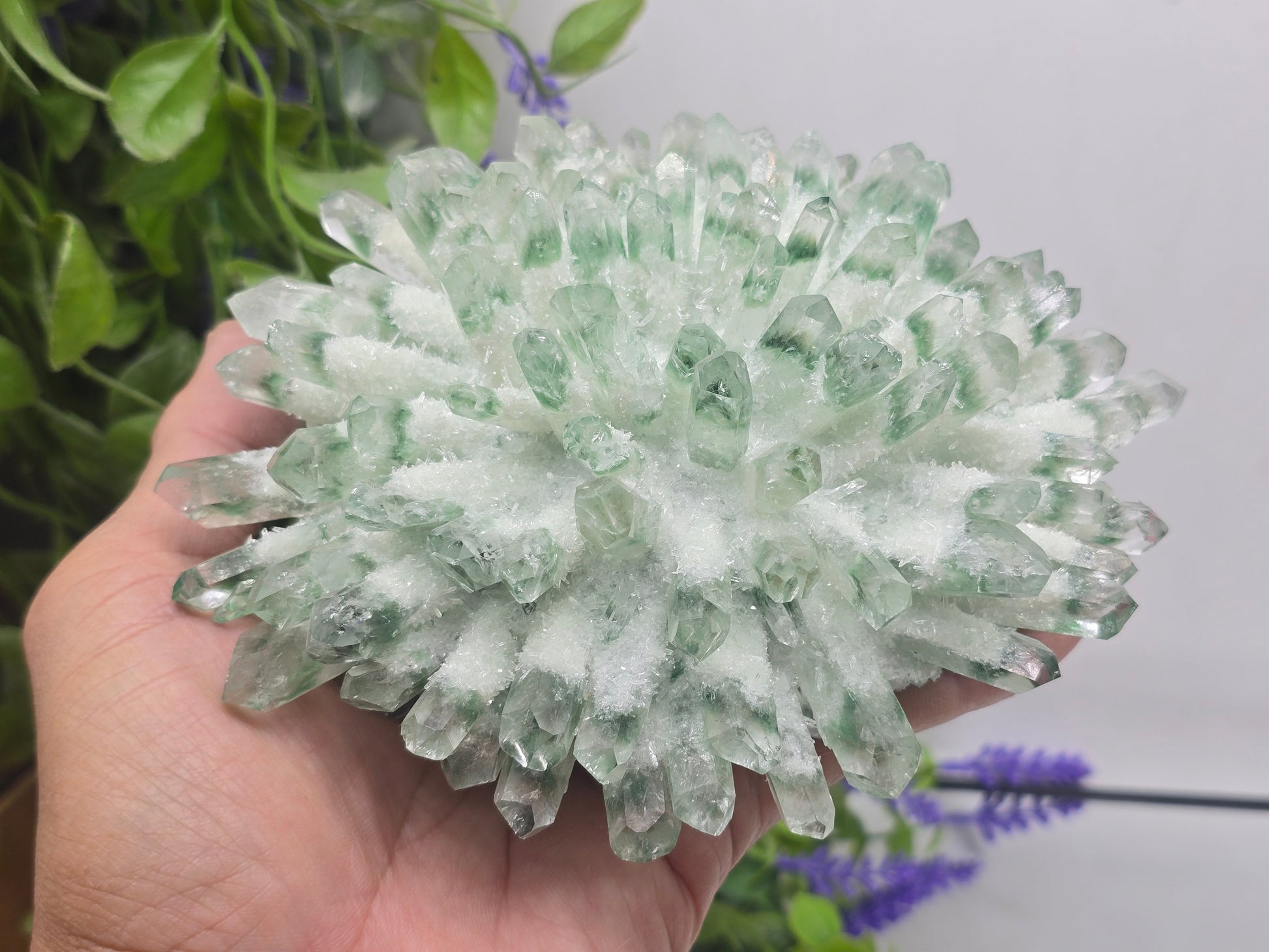 Green Chromium Quartz Cluster – Self-Healing, Heart Renewal & Regenerative Abundance 16x13x5cm Crystal Wellness