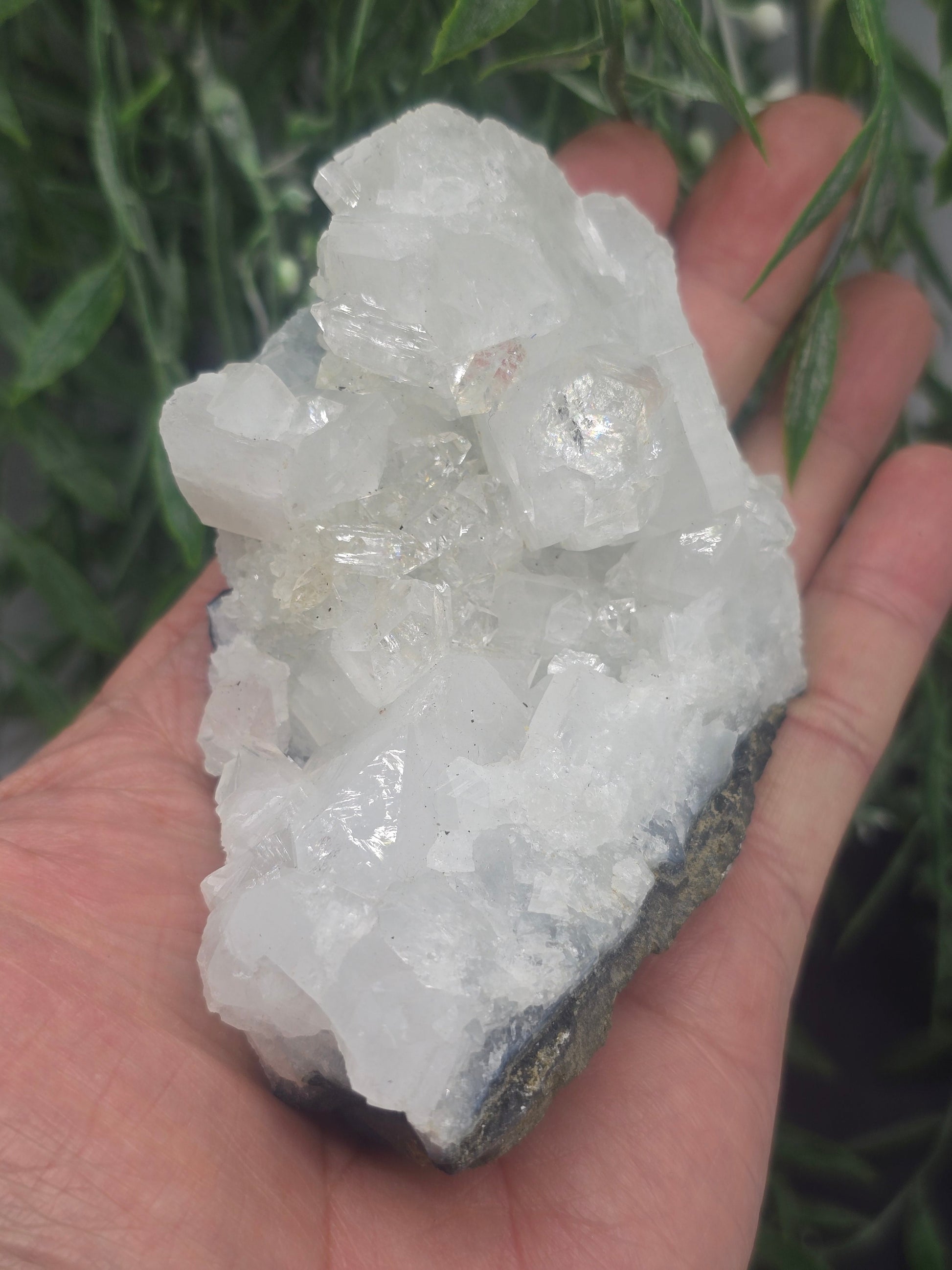 Apophyllite #3 Crystal Wellness