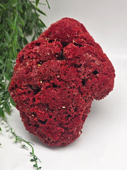 Exquisite Red Coral Specimen 19x14x8cm | 0.7kg – Collector’s Piece of Strength & Vitality Crystal Wellness