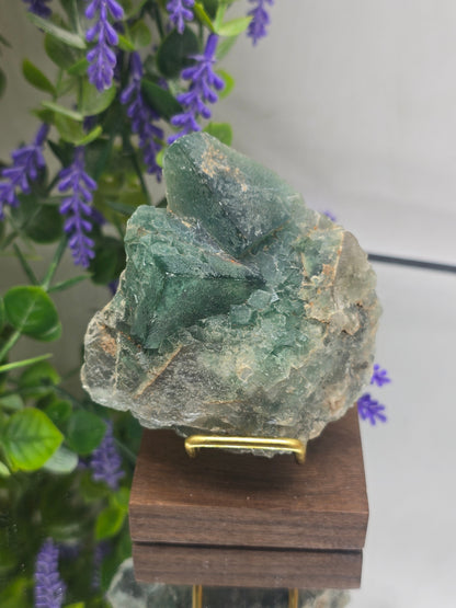 Natural Green Fluorite Cluster | Stone of Clarity & Renewal Crystal Wellness
