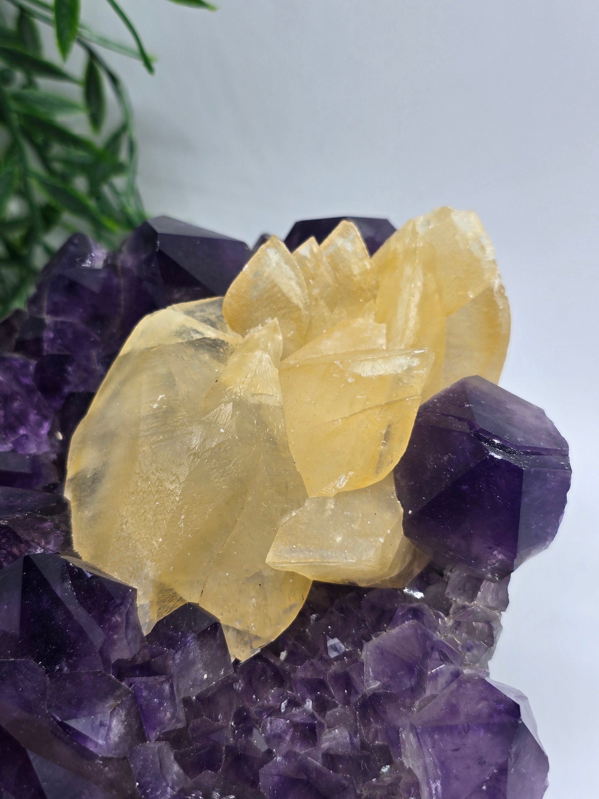 Yellow Calcite & Amethyst Crystal Fusion – Rare 3.5kg Collector’s Gem Crystal Wellness