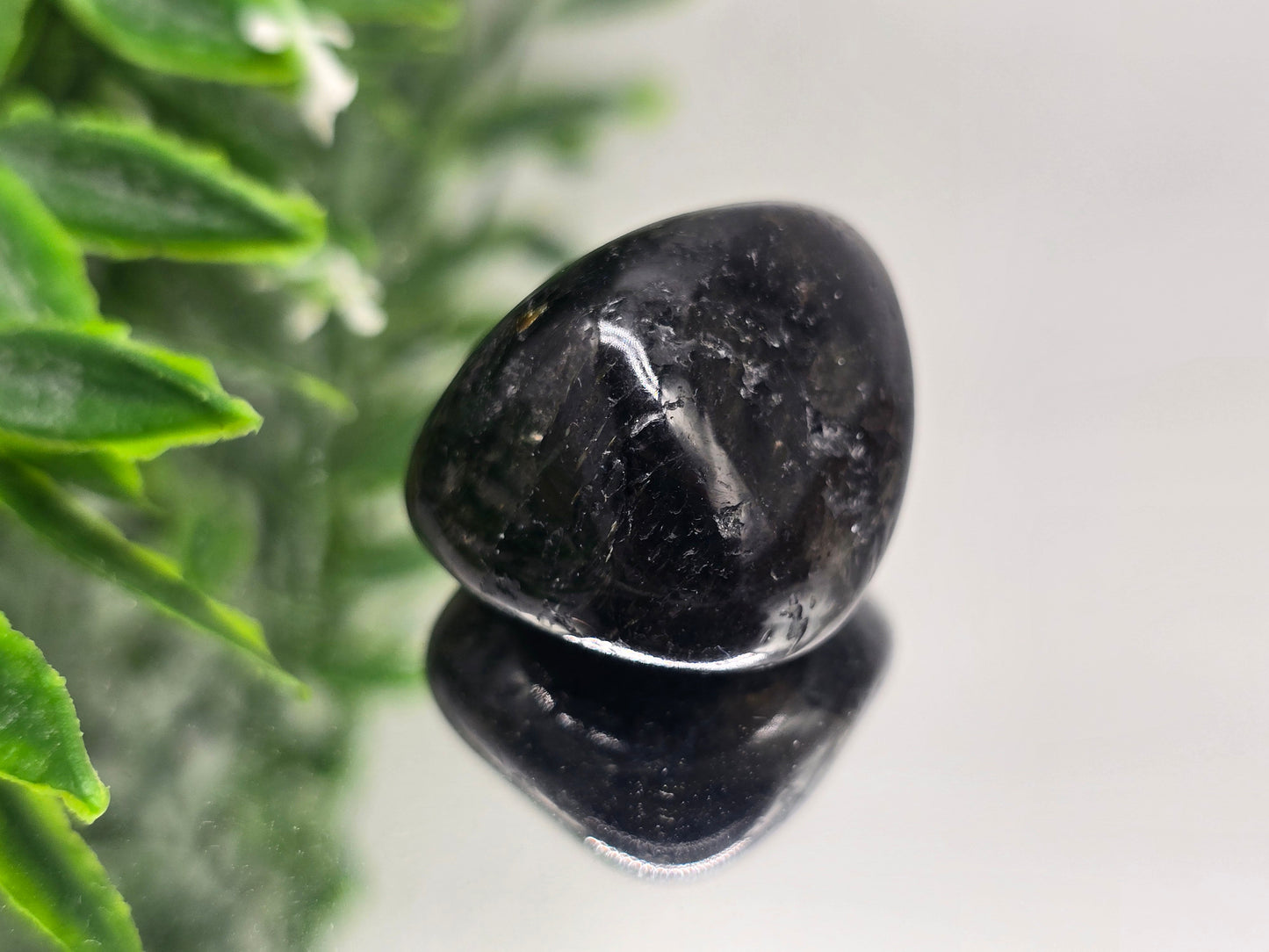 Genuine Nuumite Tumbled Stone (Stone of Ancient Protection & Personal Power) Crystal Wellness