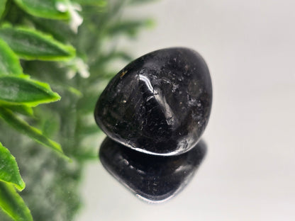 Genuine Nuumite Tumbled Stone (Stone of Ancient Protection & Personal Power) Crystal Wellness