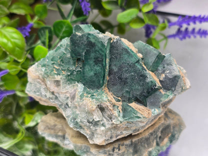 Natural Green Fluorite Cluster — Madagascar (Stone of Clarity & Renewal) Crystal Wellness