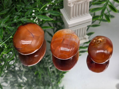 Premium Madagascar Carnelian Palmstone — Stone of Vitality, Courage & Motivation Crystal Wellness