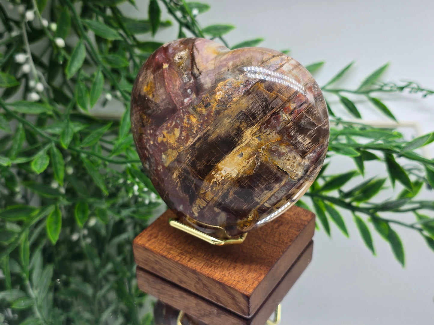 Premium Grade Madagascar Petrified Wood Heart – Stone of Stability and Enduring Success | 458g Crystal Wellness