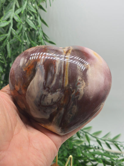 Petrified Wood Heart – Madagascar | 615g (Stand Included) Crystal Wellness