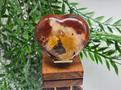 Premium Grade Madagascar Petrified Wood Heart – Stone of Stability and Enduring Success | 317g Crystal Wellness