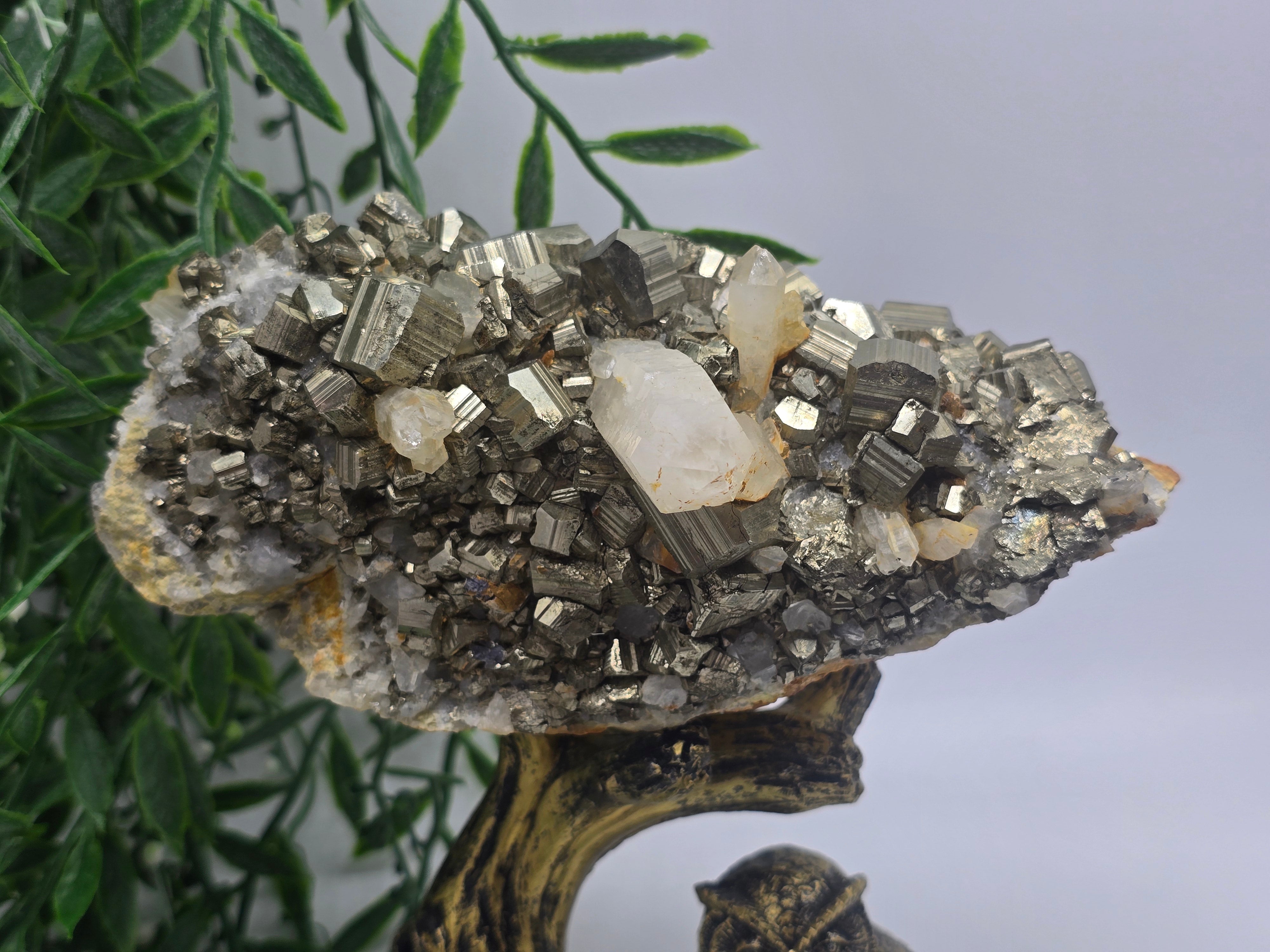 Pyrite with Clear Quartz Point AAA Grade Rare 14x9x8cm 1kg Crystal Wellness