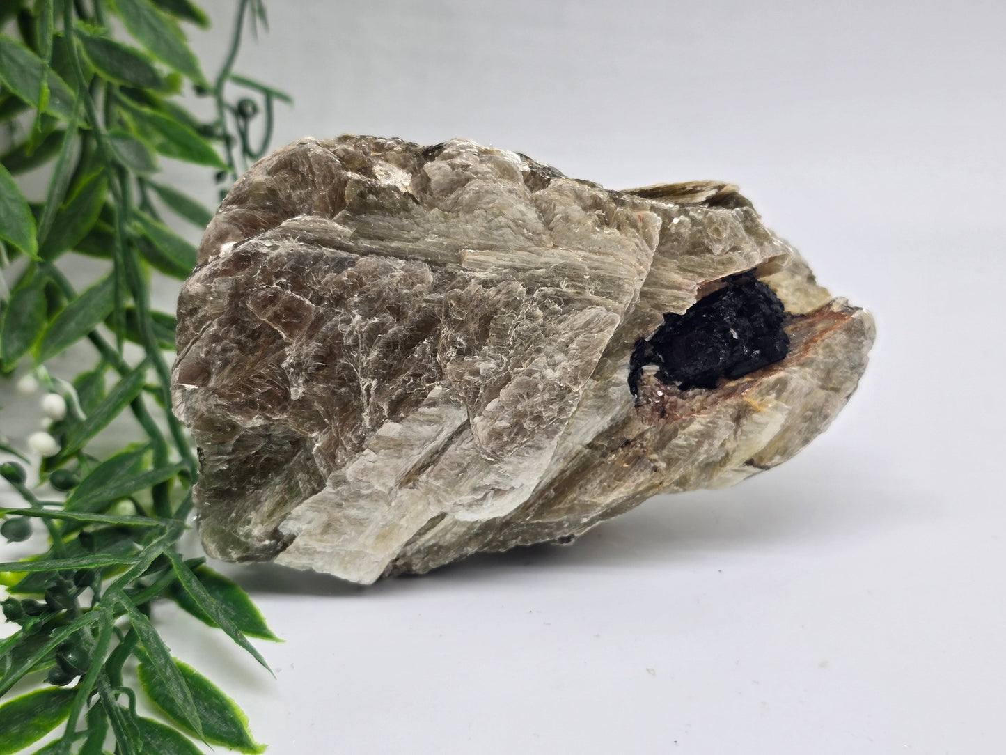 Rare Mica with Black Tourmaline – 11x7x6cm | 0.4kg Crystal Wellness