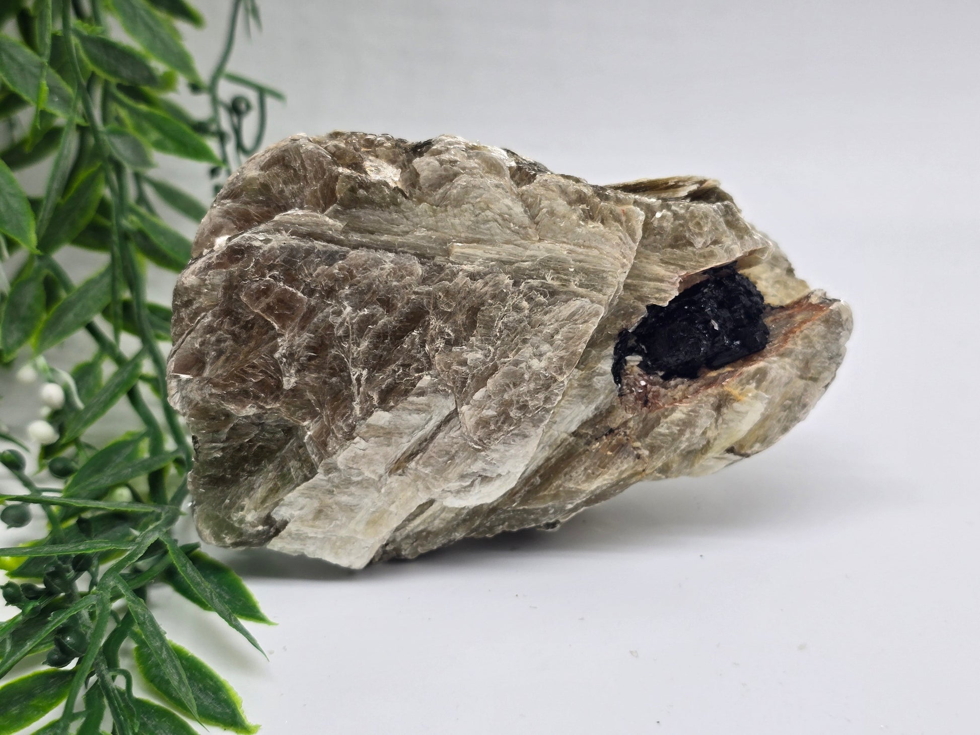 Rare Mica with Black Tourmaline – 11x7x6cm | 0.4kg Crystal Wellness