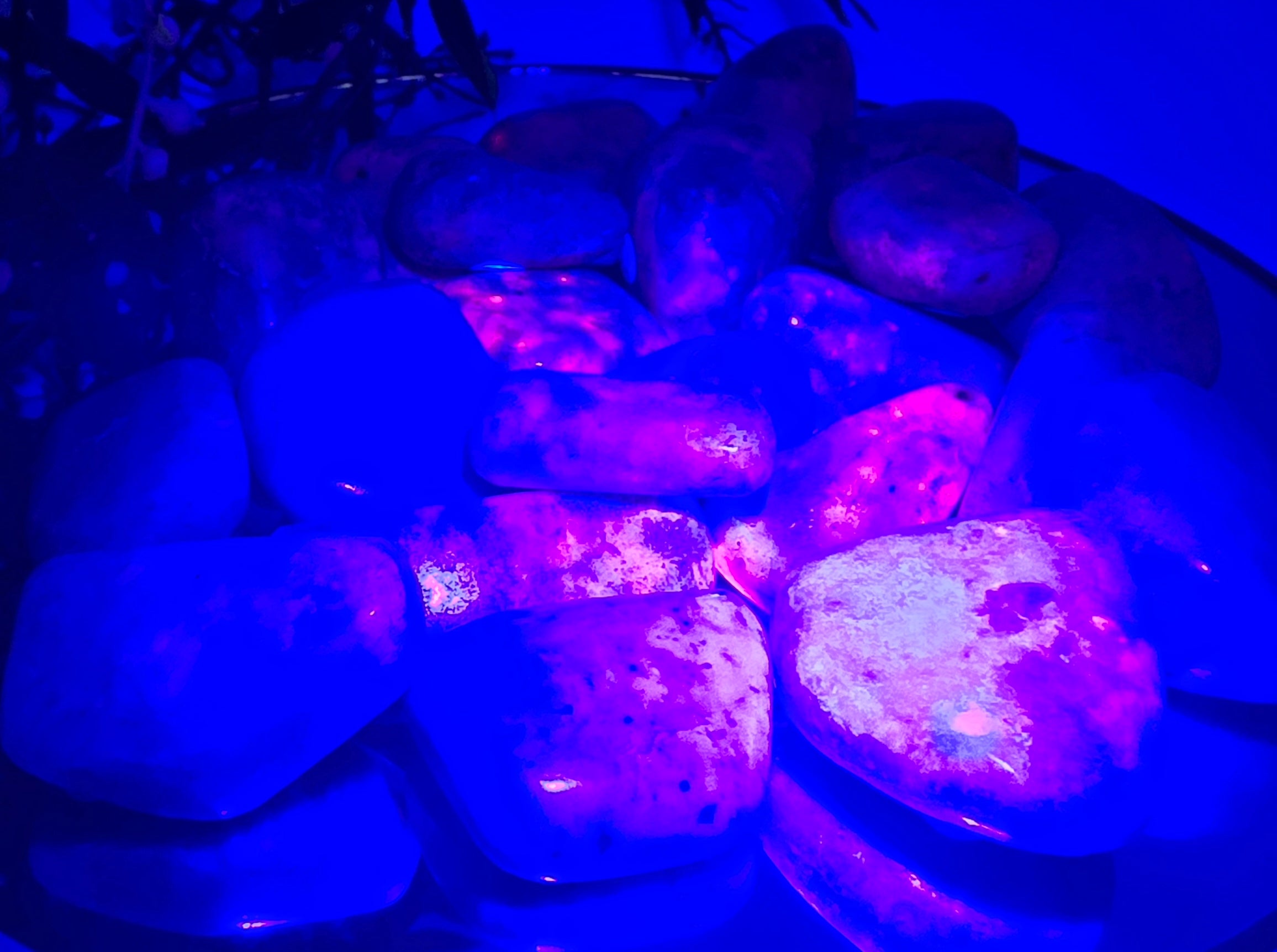 Untitled 29Oct_18:20 Crystal Wellness