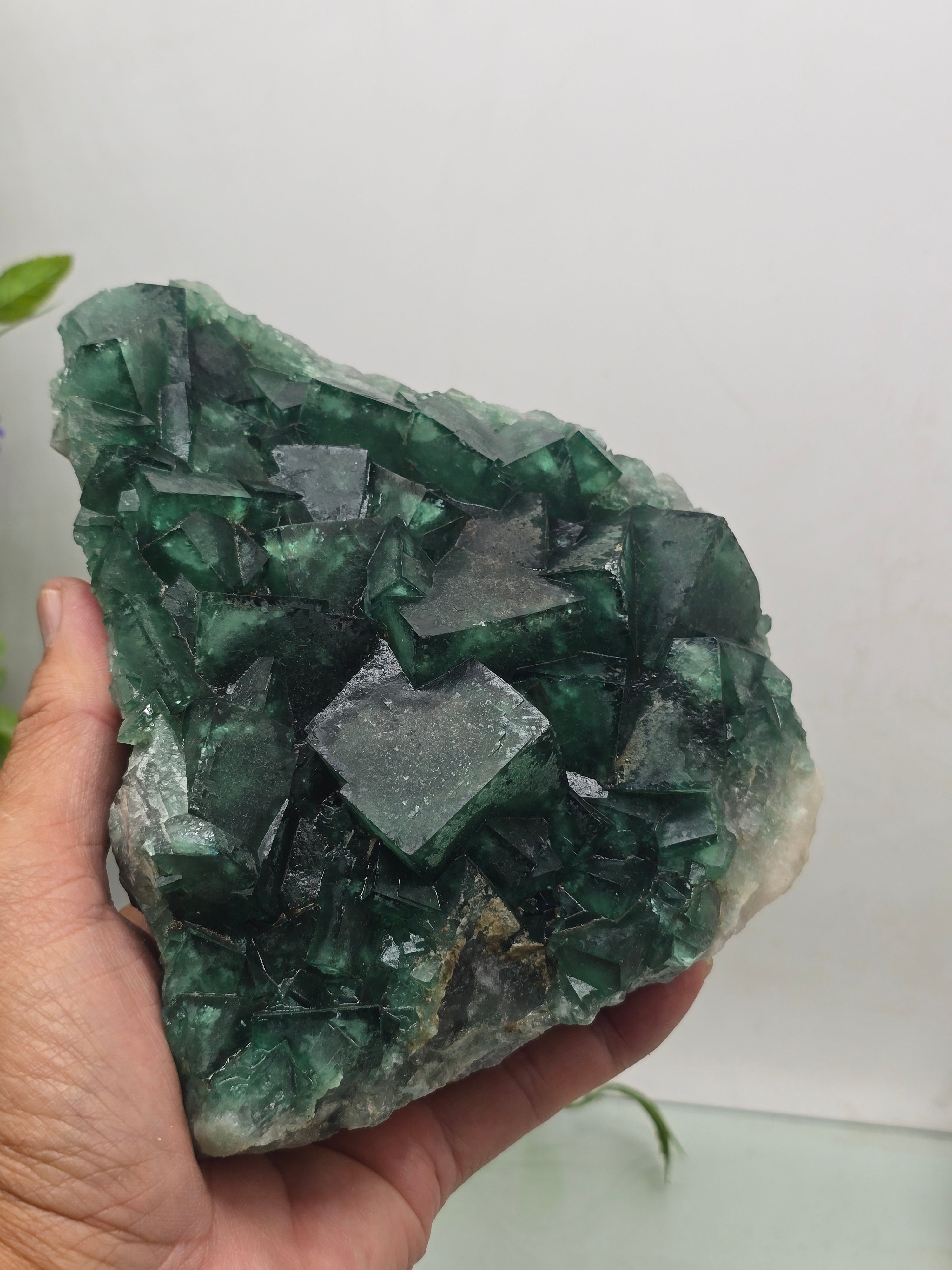 Green Fluorite Cluster Specimen Premium Quality(Stone of Clarity & Heart Alignment) Crystal Wellness