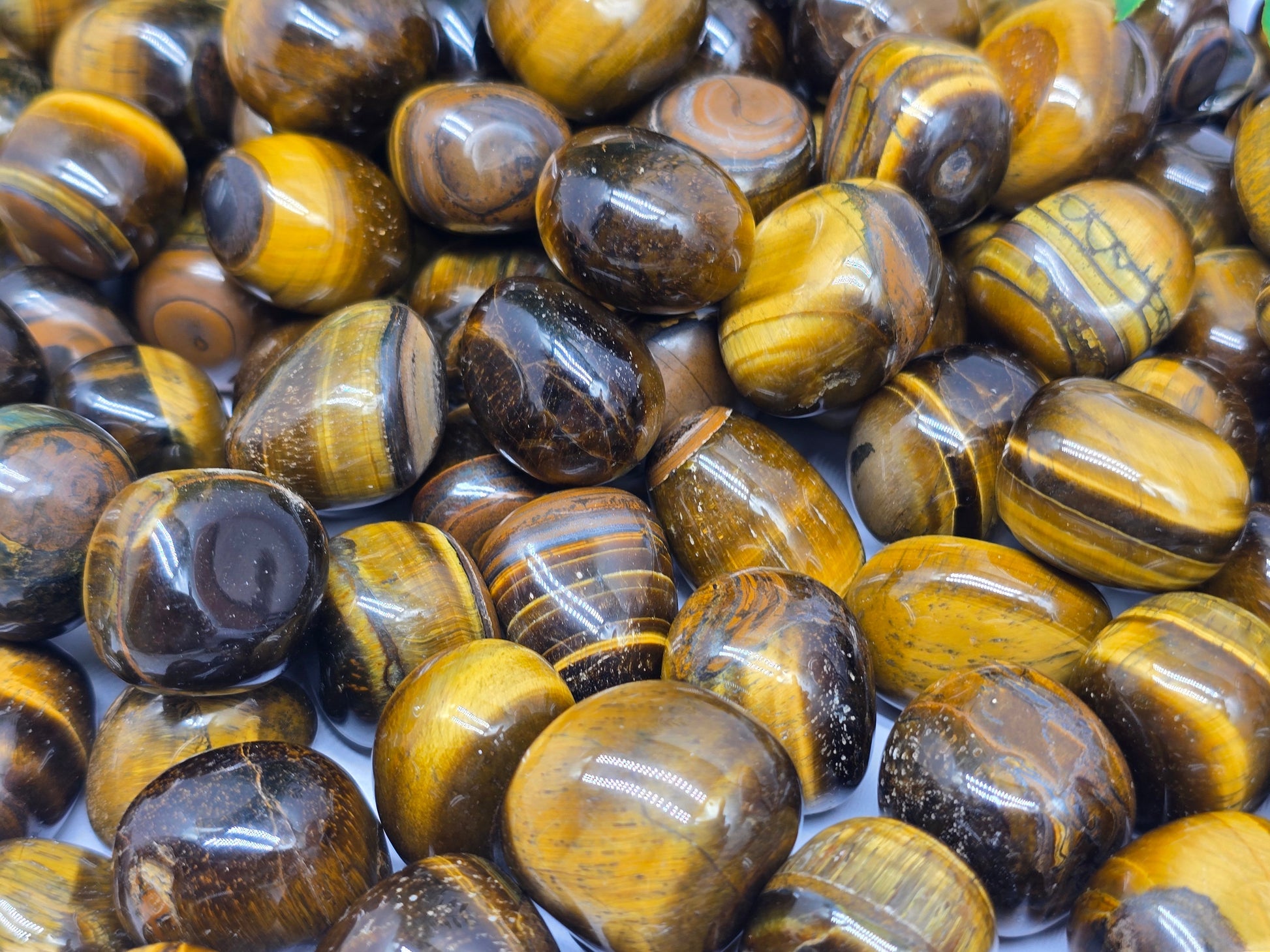 Gold Tiger's Eye Tumbled stone Crystal Wellness