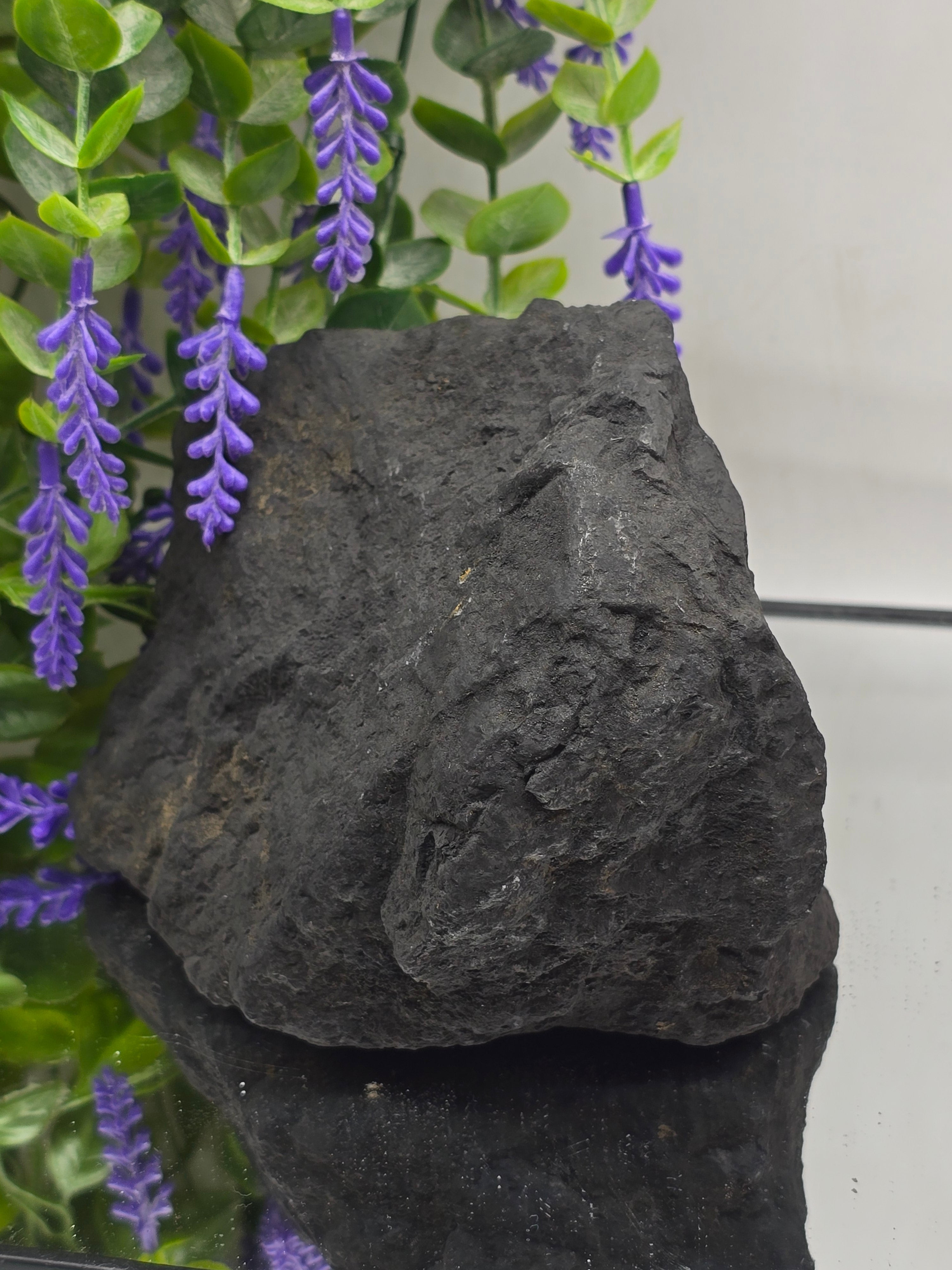Raw Shungite — Stone of Grounding & Protection | 1.350kgs Crystal Wellness