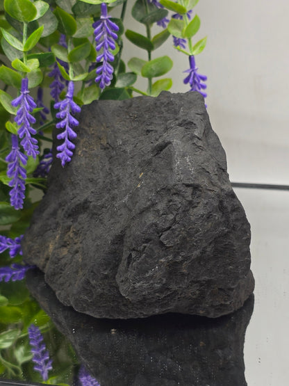 Raw Shungite — Stone of Grounding & Protection | 1.350kgs Crystal Wellness