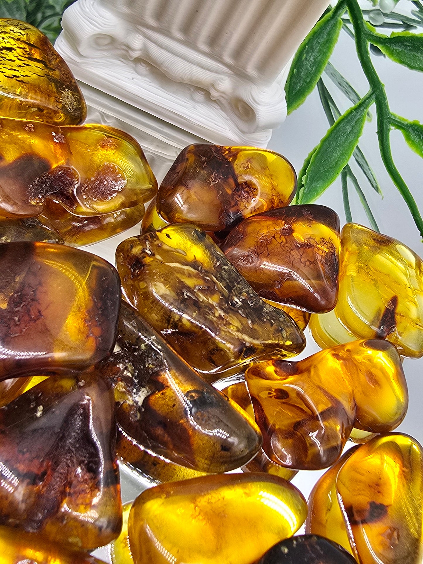 Baltic Amber Tumbled Stones (Stone of Ancient Light & Vital Life Force) Crystal Wellness