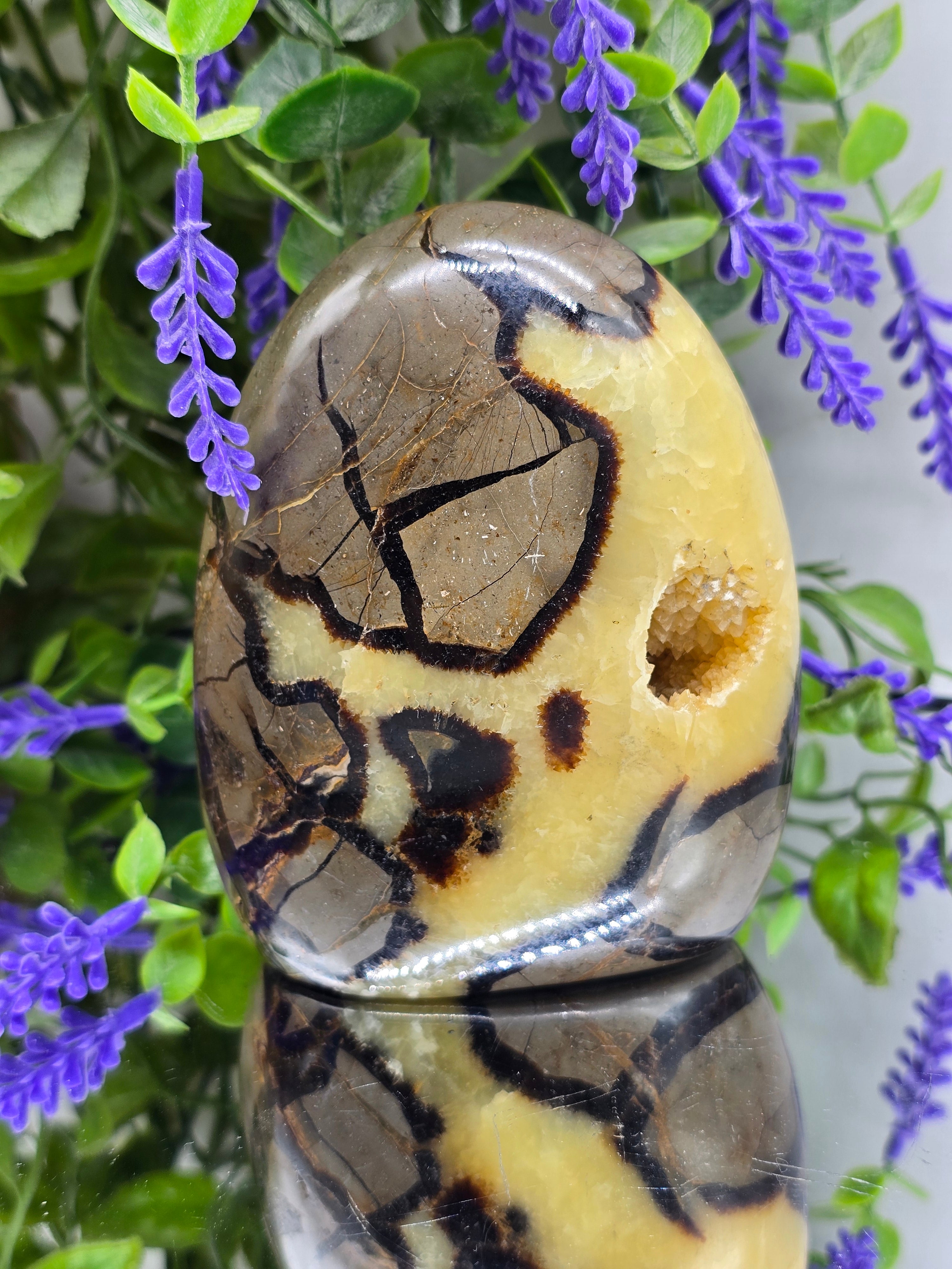 Septarian Freeform High Grade – 741g | Stone of Dragon, Grounding, Confidence & Emotional Balance Crystal Wellness