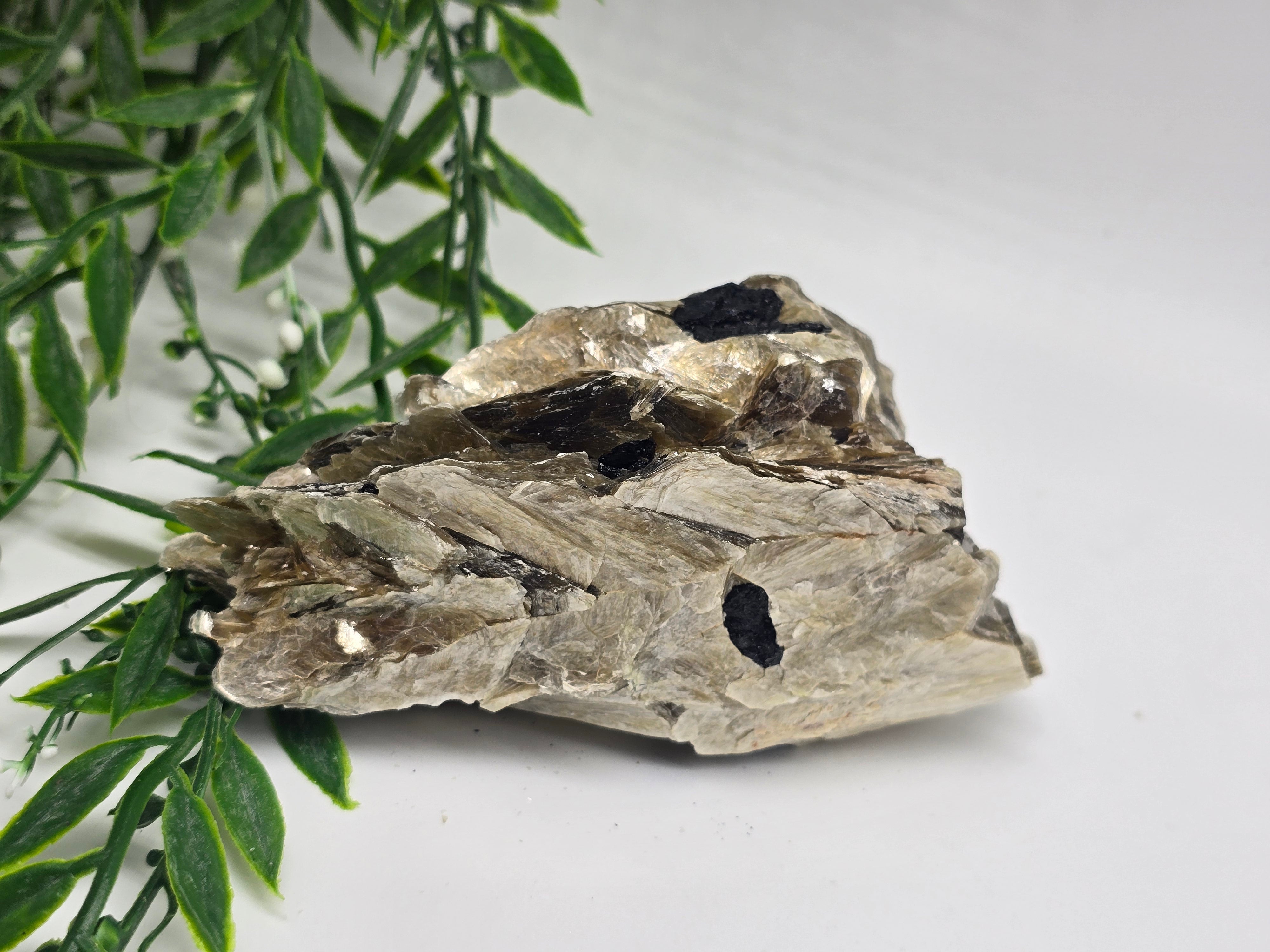 Rare Mica with Black Tourmaline – 13x7x4cm | 0.4kg Crystal Wellness