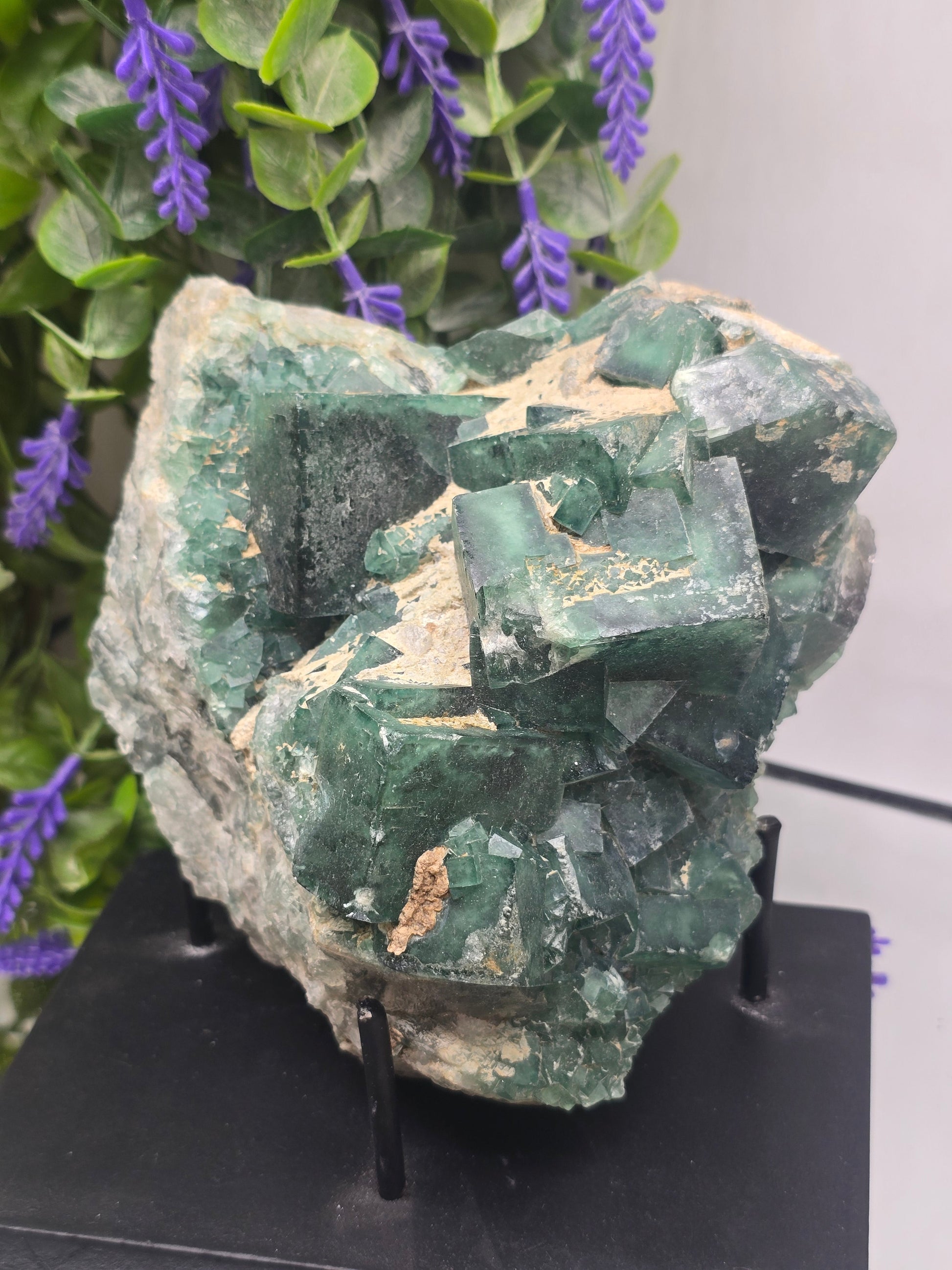 Natural Green Fluorite Cluster — Madagascar (Stone of Clarity & Renewal) Crystal Wellness