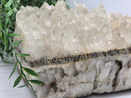 Clear Quartz Cathedral Formation from Brazil (Stone of Amplified Divine Light) Crystal Wellness