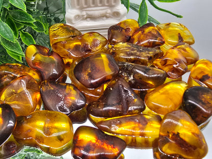 Baltic Amber Tumbled Stones (Stone of Ancient Light & Vital Life Force) Crystal Wellness