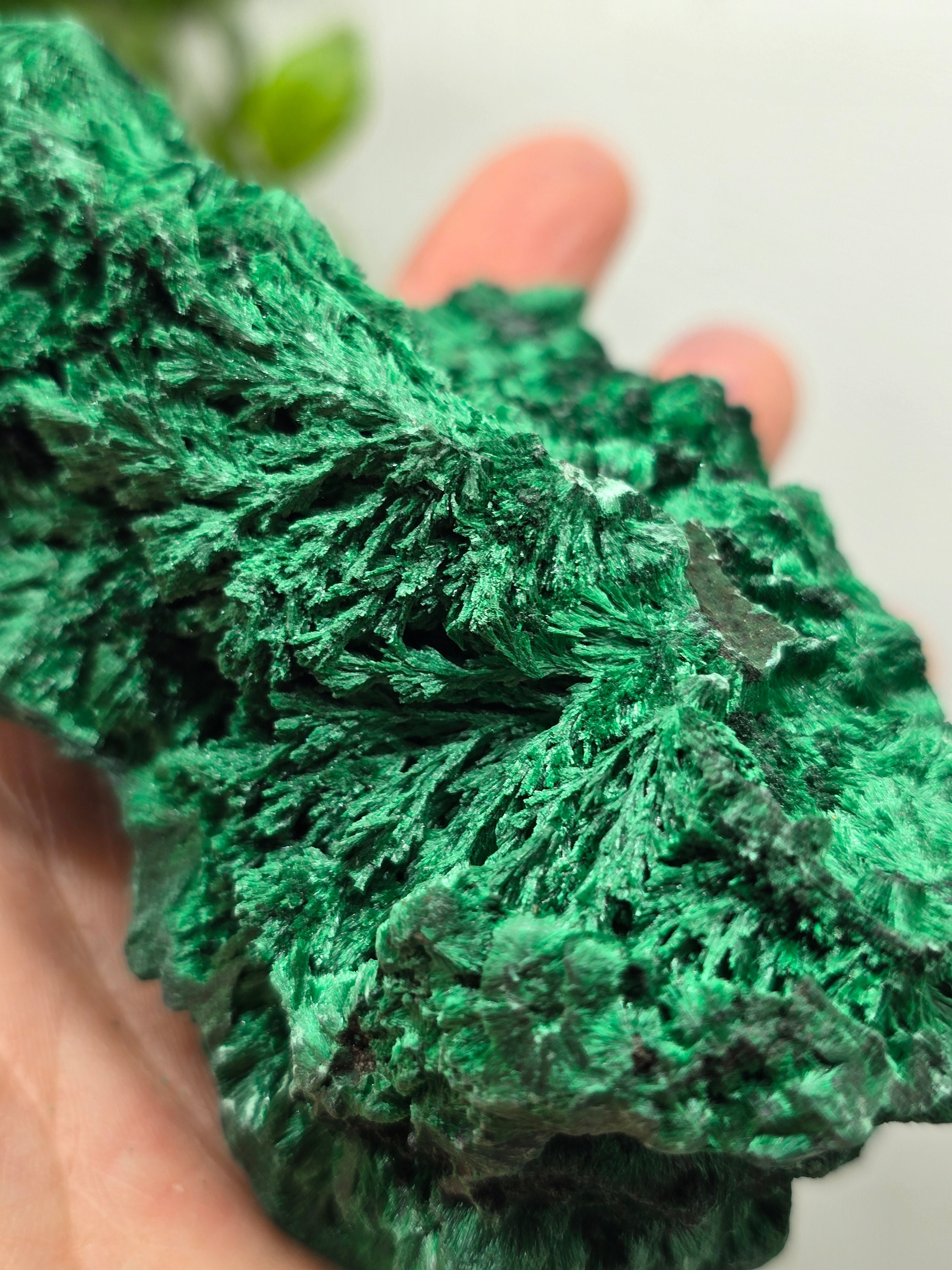 Fibrous Malachite Specimen 415g (Stone of Deep Transformation & Protection)
