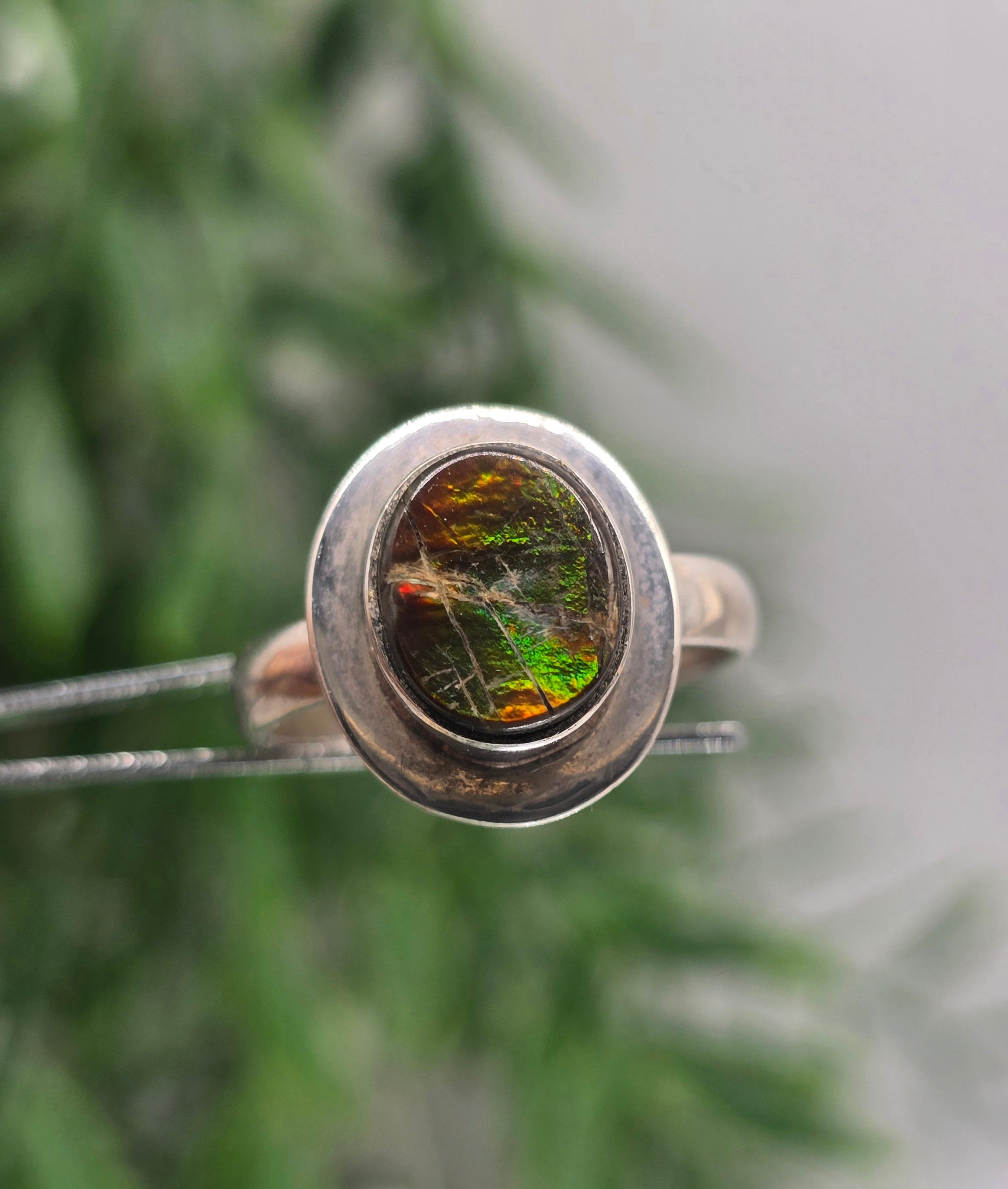 🌈 Canadian Ammolite 925 Sterling Silver Ring – Size 9 | Stone of Transformation, Prosperity & Ancient Earth Energy Crystal Wellness