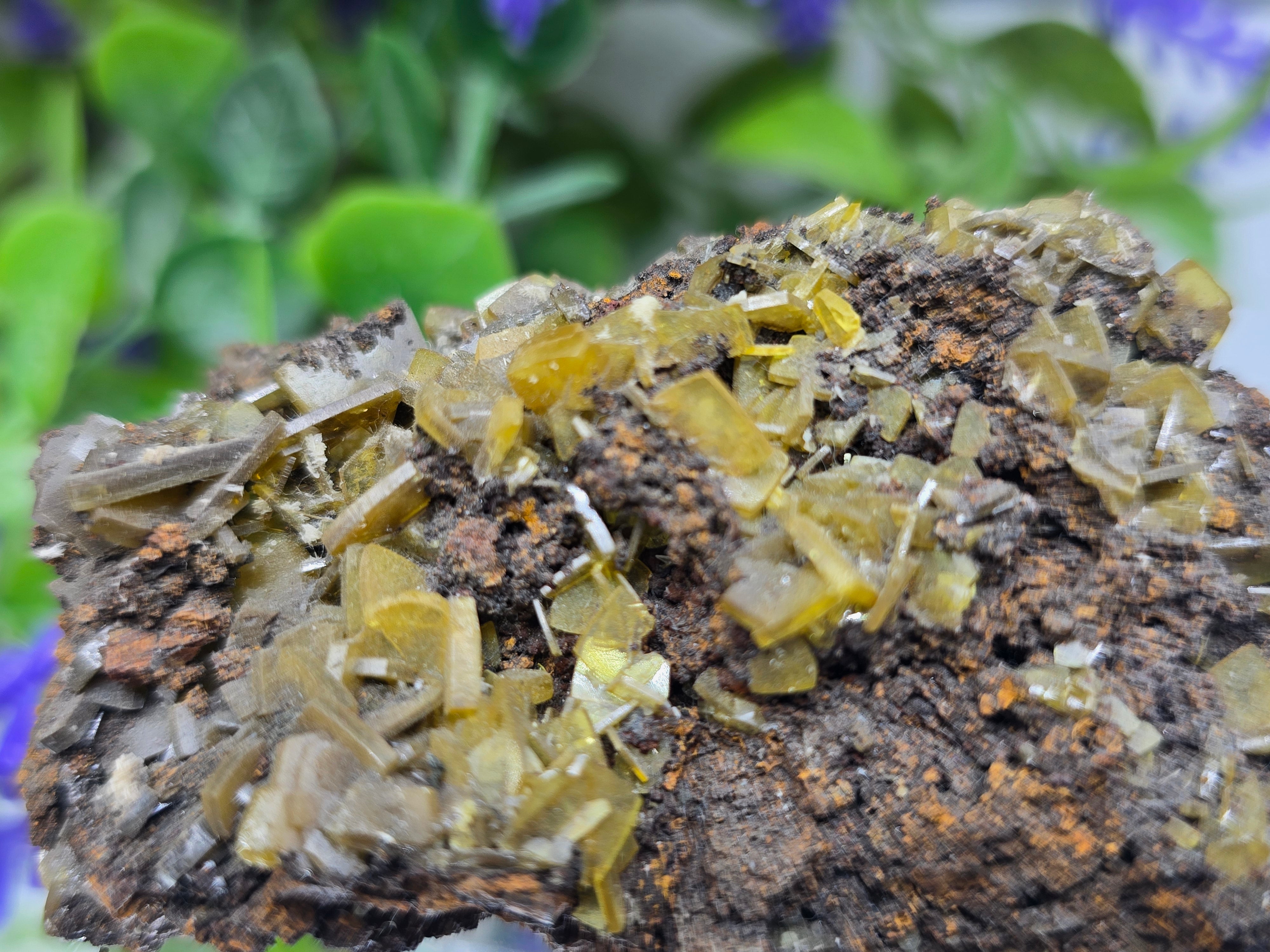 Natural Rare Wulfenite on Matrix – Golden Vision, Transformation & Inspired Action Crystal Wellness