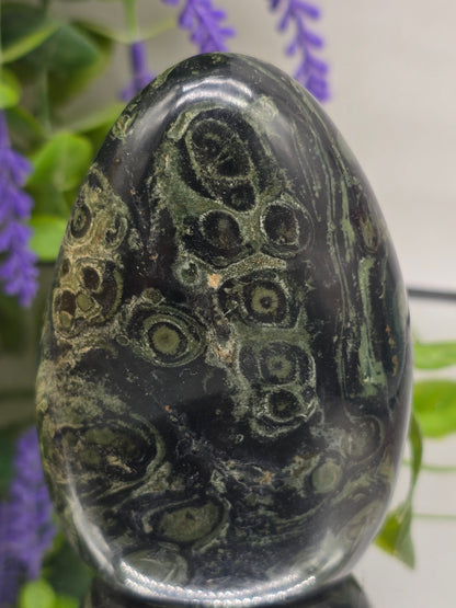 Premium Kambaba Jasper Freeform – Stone of Peace, Tranquility & Ancient Wisdom Crystal Wellness