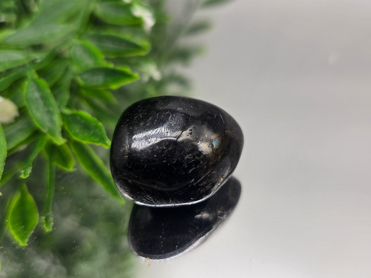Genuine Nuumite Tumbled Stone (Stone of Ancient Protection & Personal Power) Crystal Wellness
