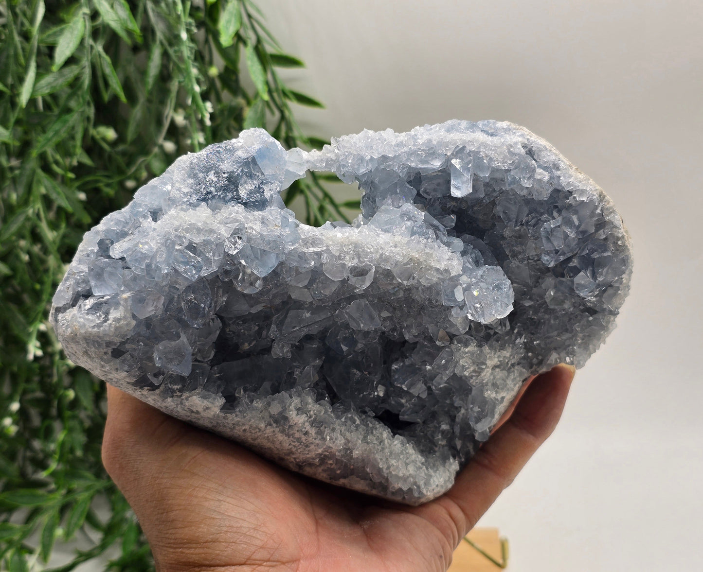 Celestial Calm Celestite Geode – 3kg Madagascar Crystal Wellness