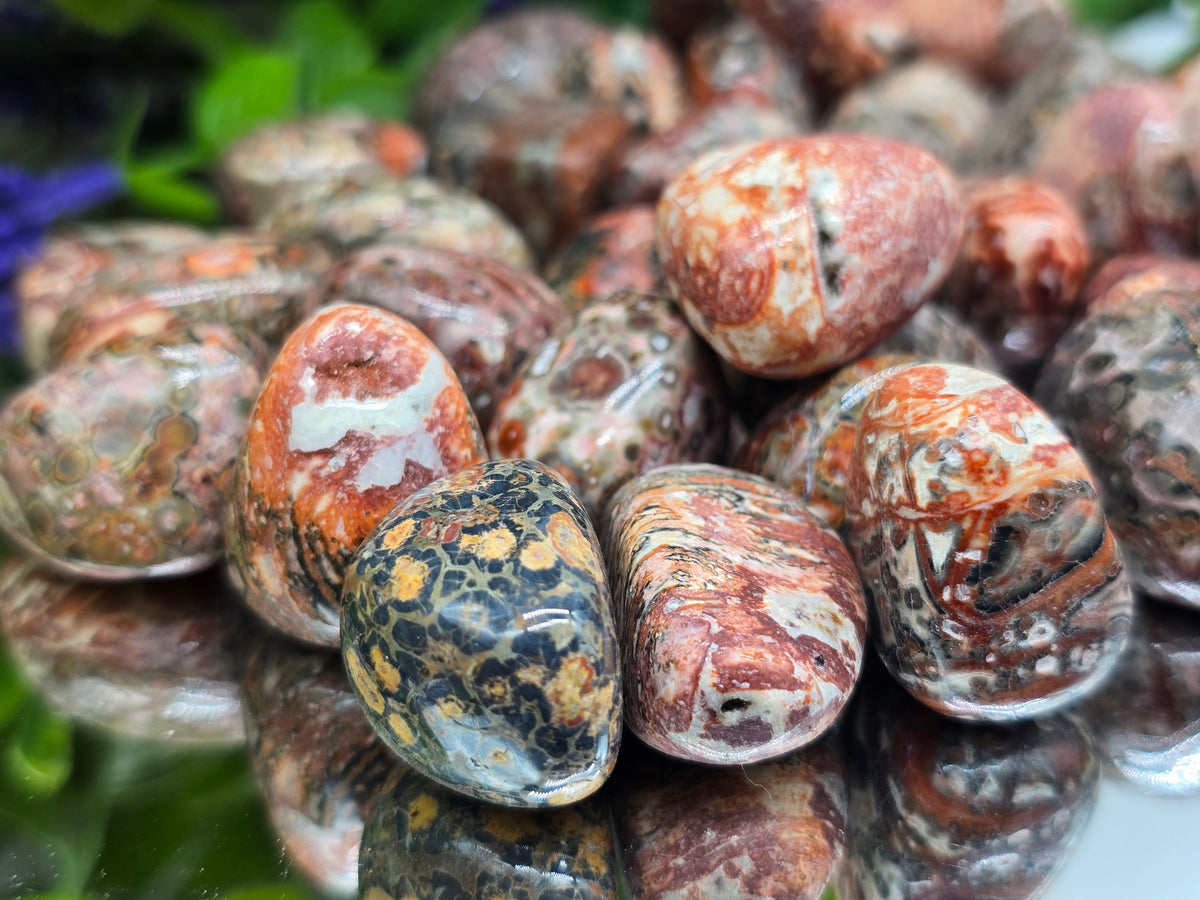 Leopard Jasper Tumbled Stone Crystal Wellness