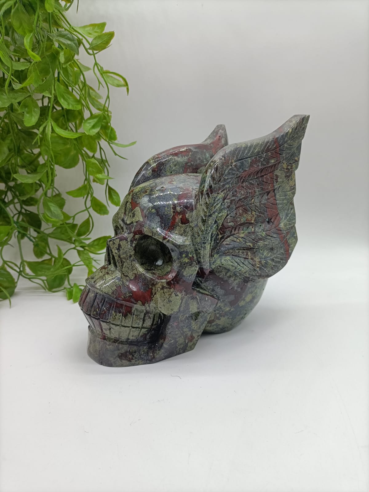Dragon Blood Skull with Wings LARGE 5.843 Kg Crystal Wellness